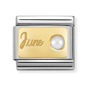 COMPOSABLE Classic MONTH STONE stainless steel and 18k gold (June) 030519/06