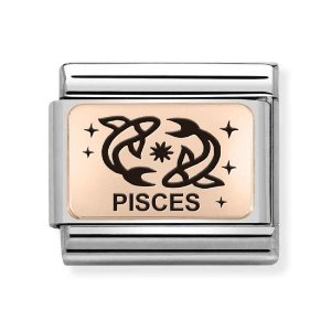 COMPOSABLE Classic ZODIAC in stainless steel with 9K rose gold (Pisces) 430112/12